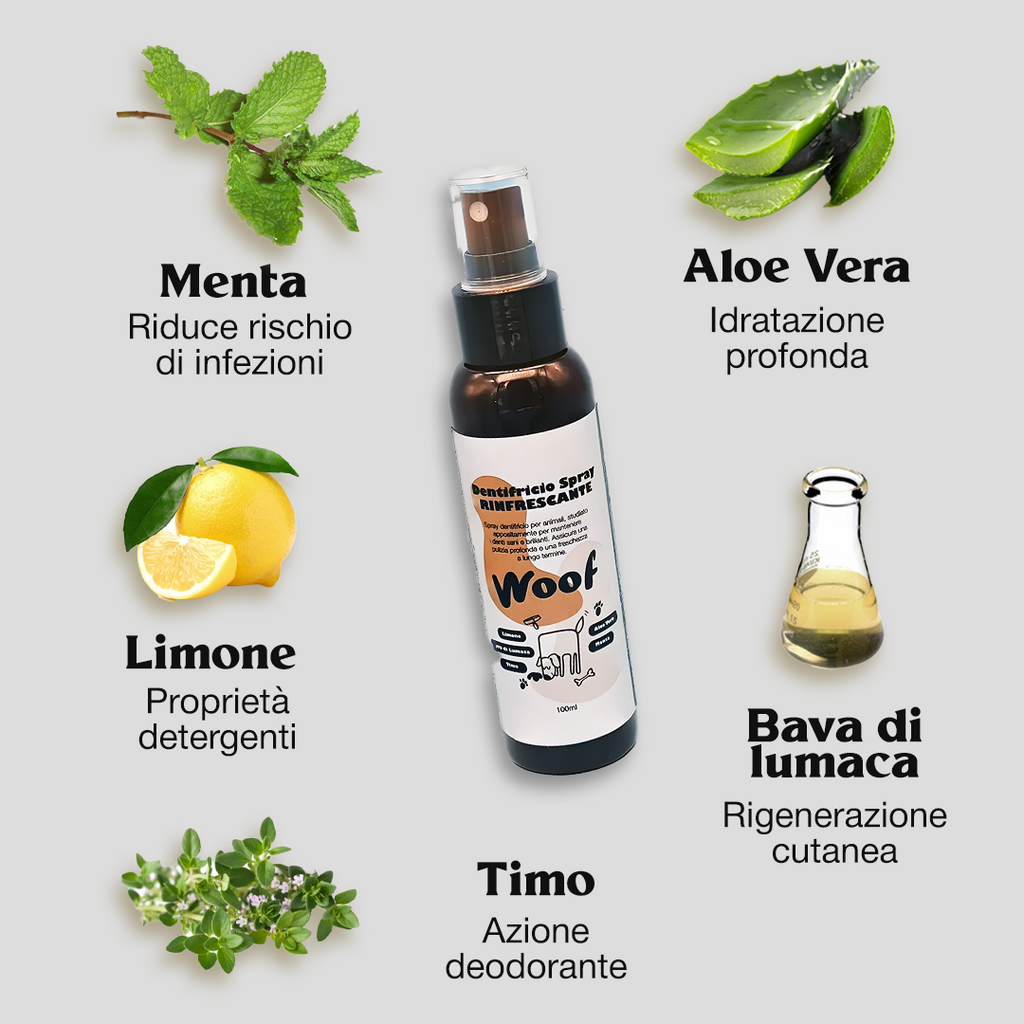 Dentifricio Spray Rinfrescante