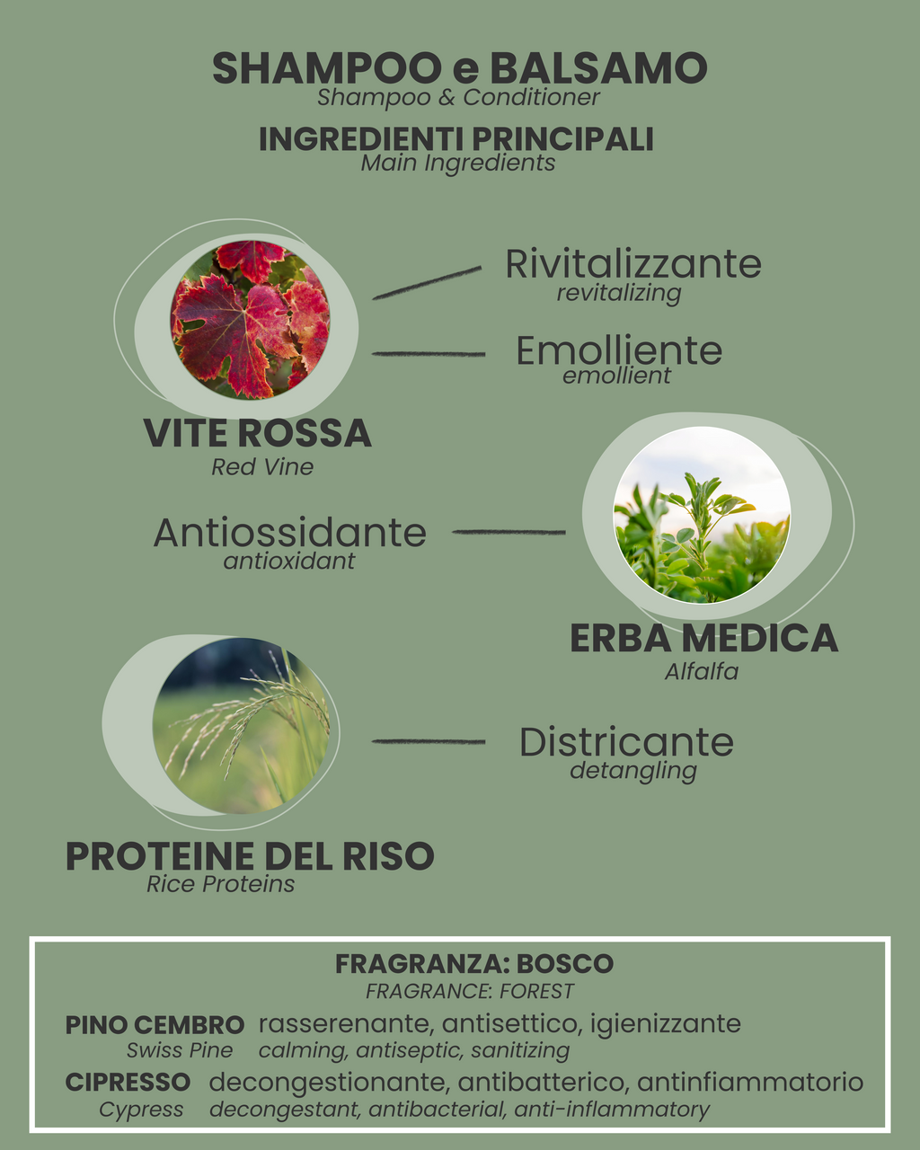 SHAMPOO e BALSAMO