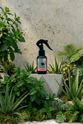 SPRAY SUPER FRESH